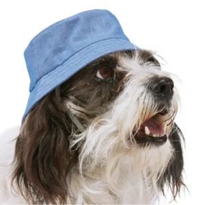 NWT Youly dog bucket hat L/XL